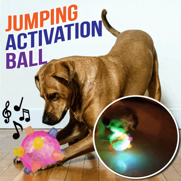 PetsBoro™ Pet Ball Endless Entertainment for Your Furry Friend!