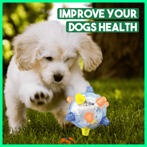 PetsBoro™ Pet Ball Endless Entertainment for Your Furry Friend!