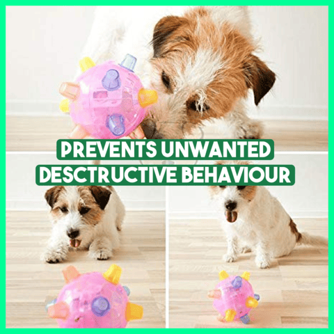 PetsBoro™ Pet Ball Endless Entertainment for Your Furry Friend!