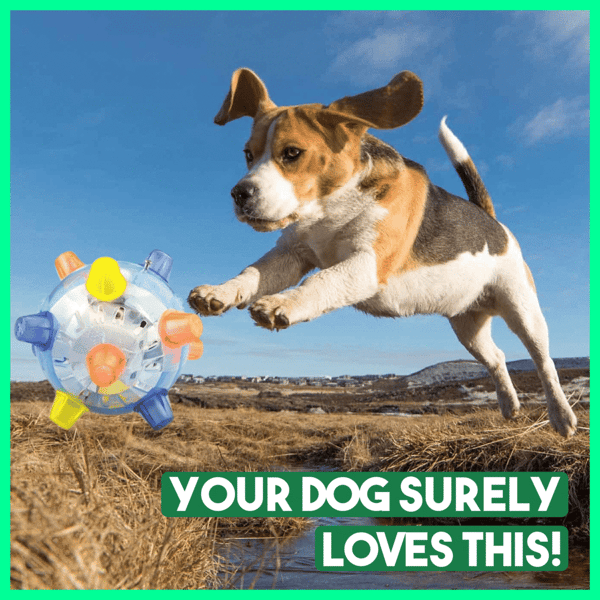 PetsBoro™ Pet Ball  Endless Entertainment for Your Furry Friend!